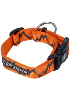 Glows Collar