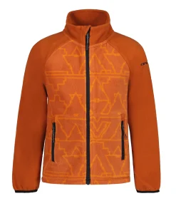 Icepeak Leisnig Jr