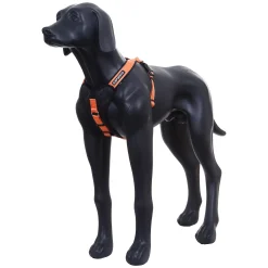Icepeak Pet Prozone Harne